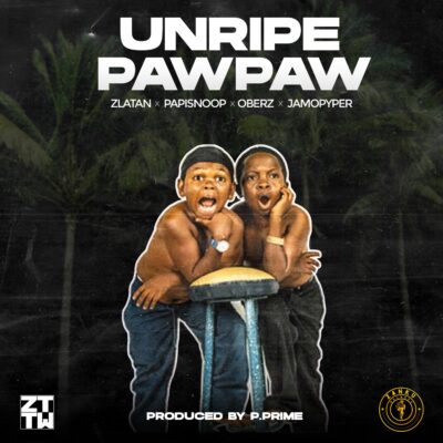 Zlatan ft. Oberz - Unripe Pawpaw (Dj Mixmaster Brown Extended)